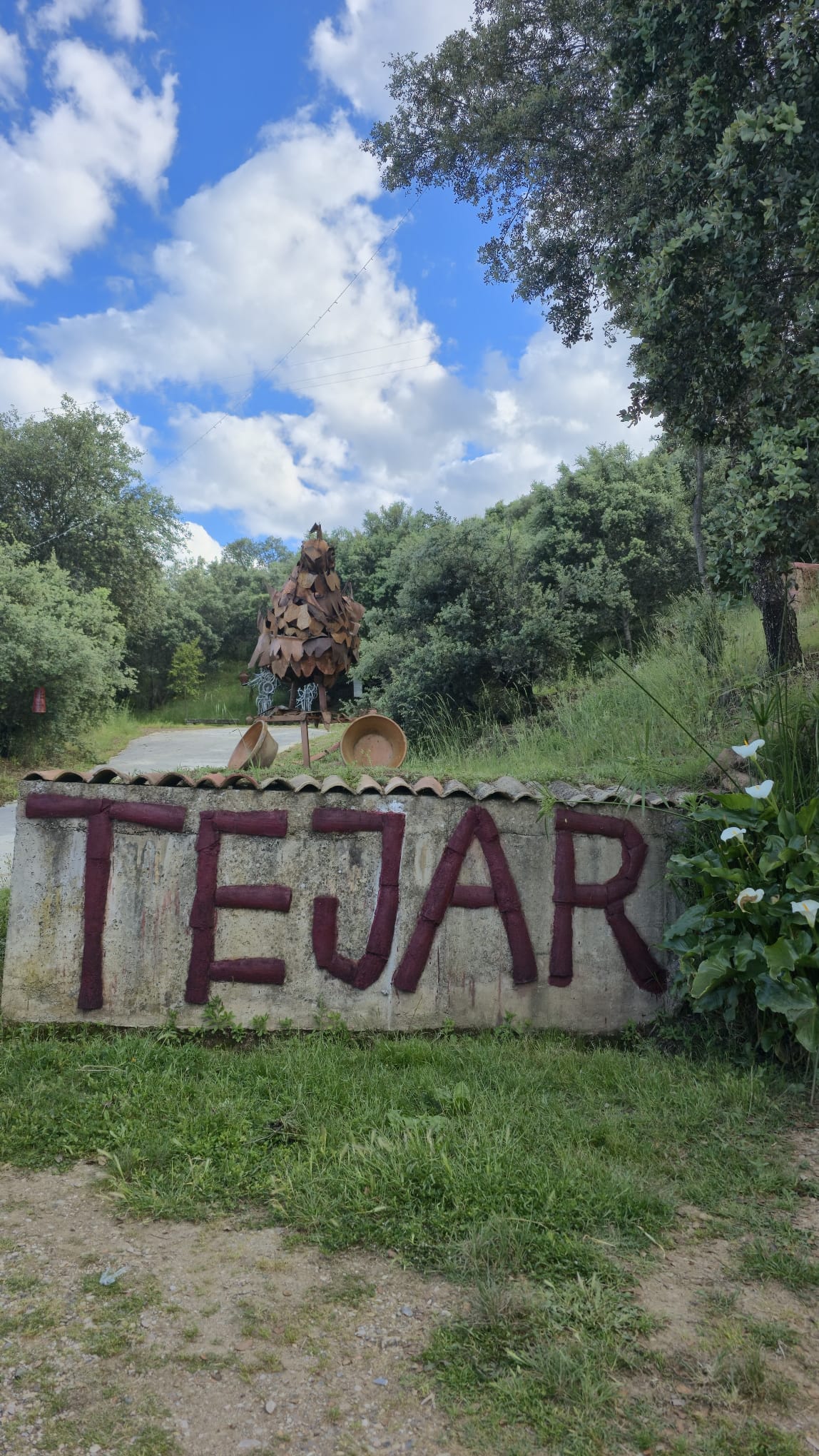 El Tejar — entorno